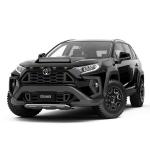 Toyota RAV4 by Climate 2019 года